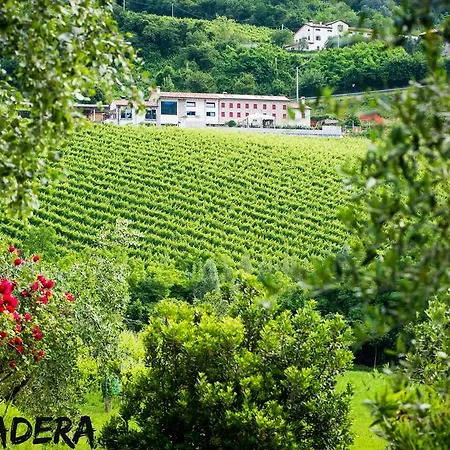 Farm stay Ca' Piadera Wine Relais
