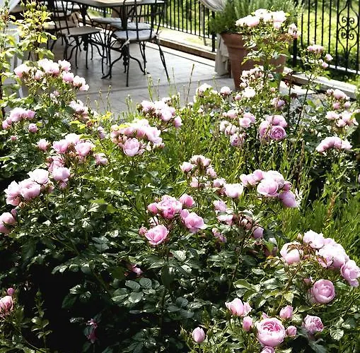 팜스테이 Ca' Piadera Wine Relais *