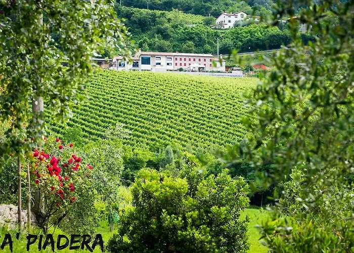 Gospodarstwo agroturystyczne Ca' Piadera Wine Relais